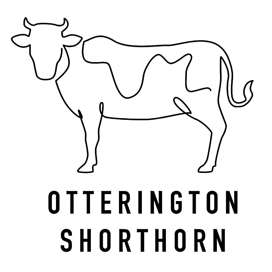 winery-logo